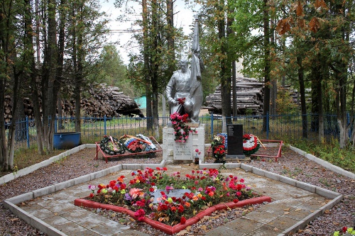 Берёзовик Тихвинского района Ленинградской области Берёзовик Тихвинского района Ленинградской области